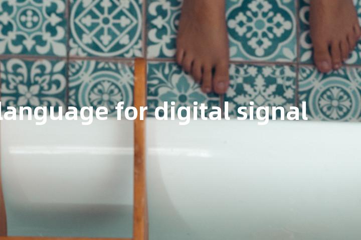 applicative language for digital signal processing单词图解，单词释义场景配图