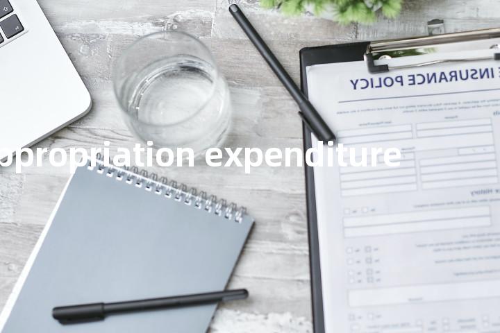 appropriation expenditure单词图解，单词释义场景配图
