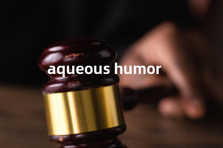 aqueous humor单词图解，单词释义场景配图