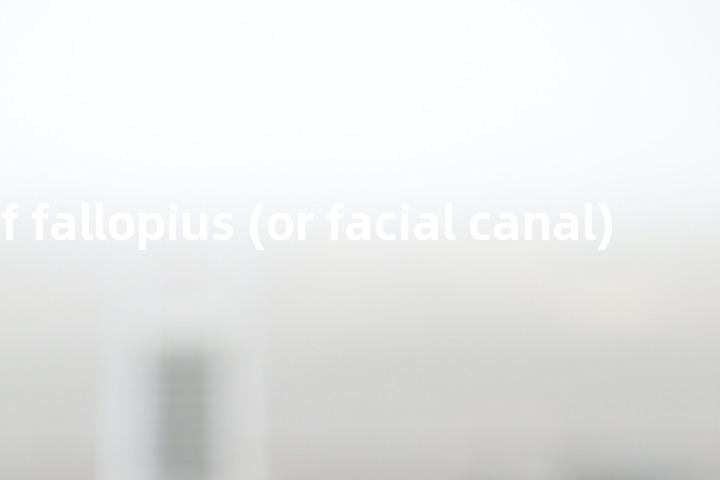 aqueduct of fallopius (or facial canal)单词图解，单词释义场景配图