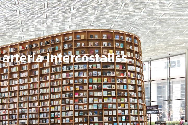 arteria intercostaliss单词图解，单词释义场景配图