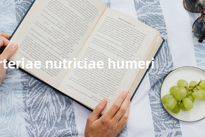 arteriae nutriciae humeri单词图解，单词释义场景配图