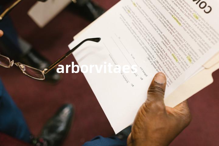 arborvitaes单词图解，单词释义场景配图