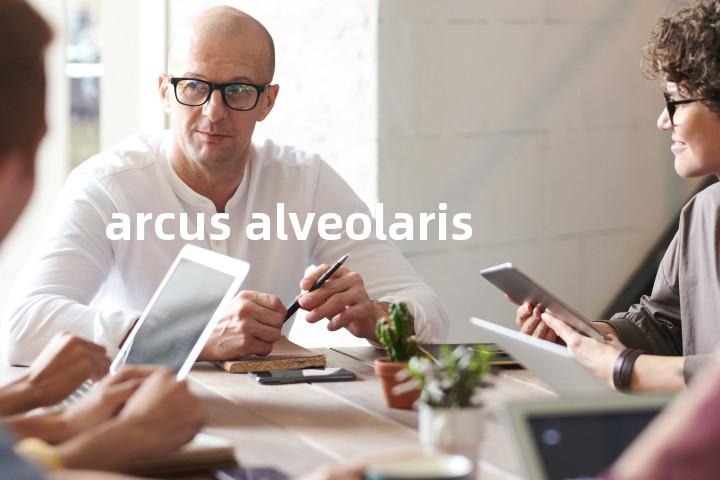 arcus alveolaris单词图解，单词释义场景配图