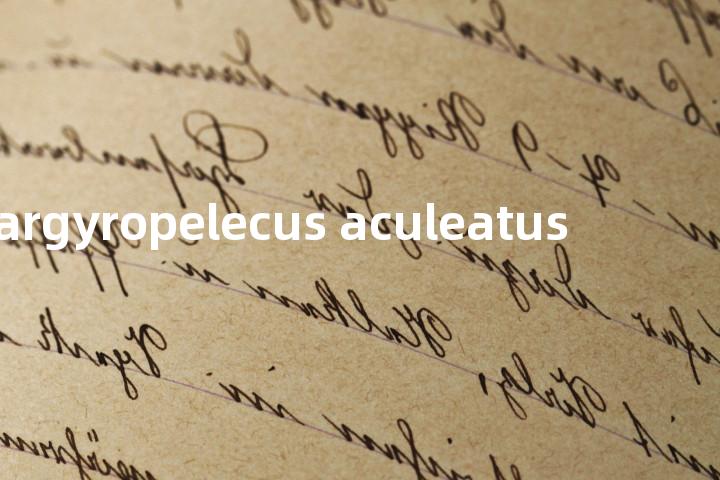 argyropelecus aculeatus单词图解，单词释义场景配图