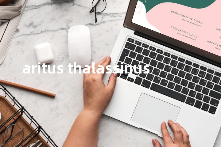 aritus thalassinus单词图解，单词释义场景配图