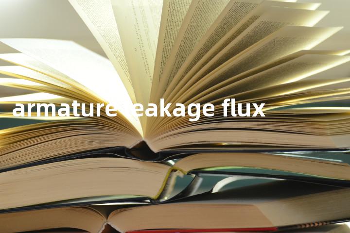 armature leakage flux单词图解，单词释义场景配图