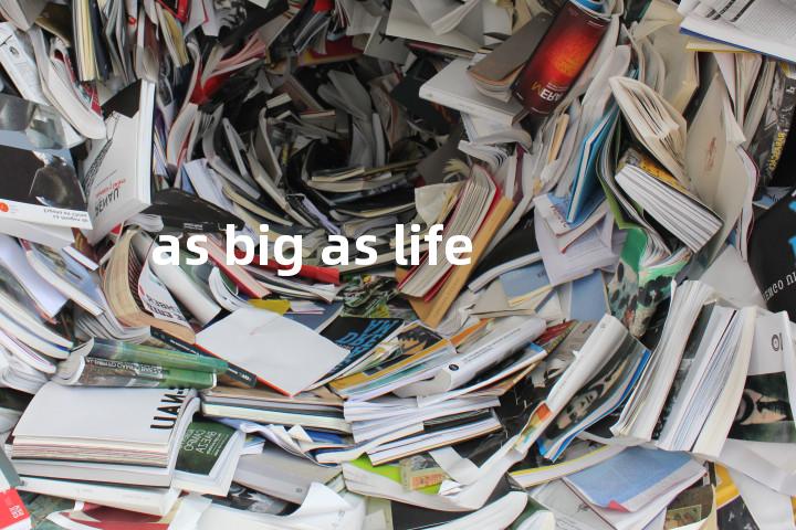 as big as life单词图解，单词释义场景配图