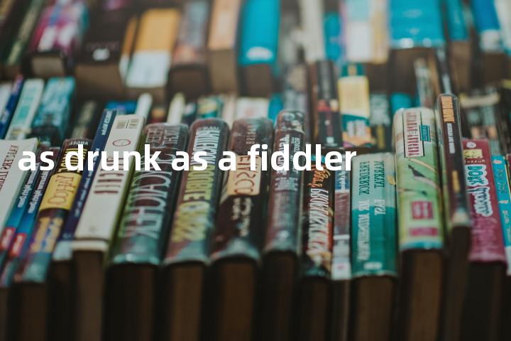 as drunk as a fiddler单词图解，单词释义场景配图