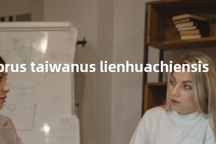 asiopodabrus taiwanus lienhuachiensis单词图解，单词释义场景配图