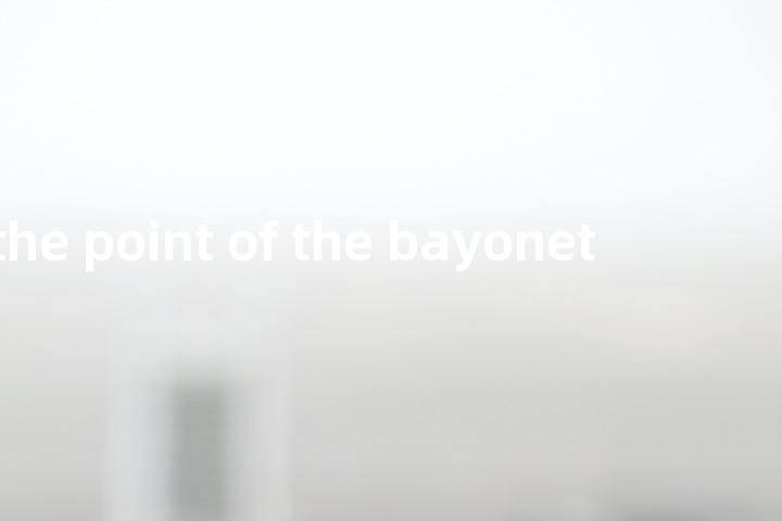 at the point of the bayonet单词图解，单词释义场景配图