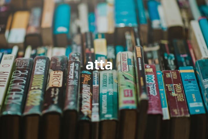 atta单词图解，单词释义场景配图