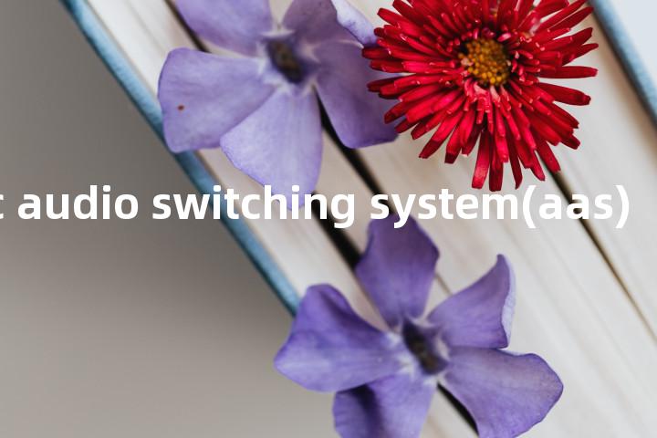 automatic audio switching system(aas)单词图解，单词释义场景配图