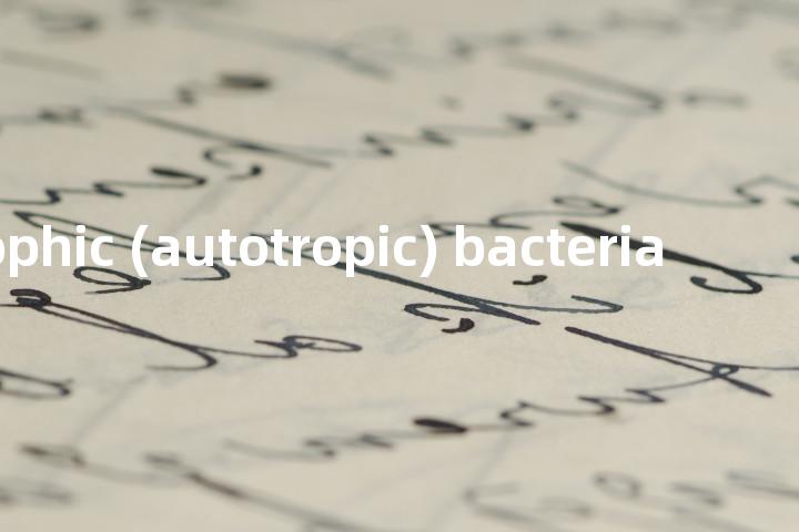 autotrophic (autotropic) bacteria单词图解，单词释义场景配图