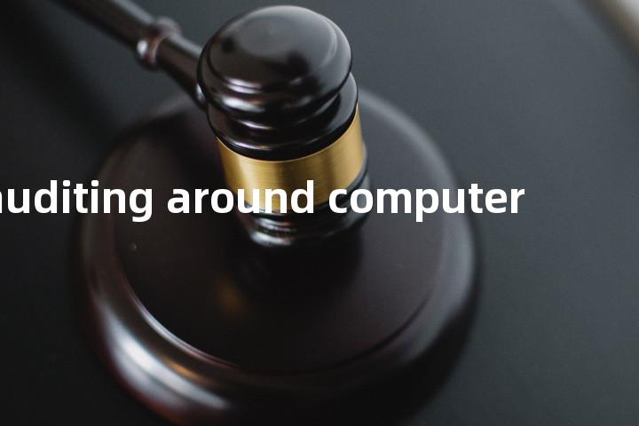 auditing around computer单词图解，单词释义场景配图