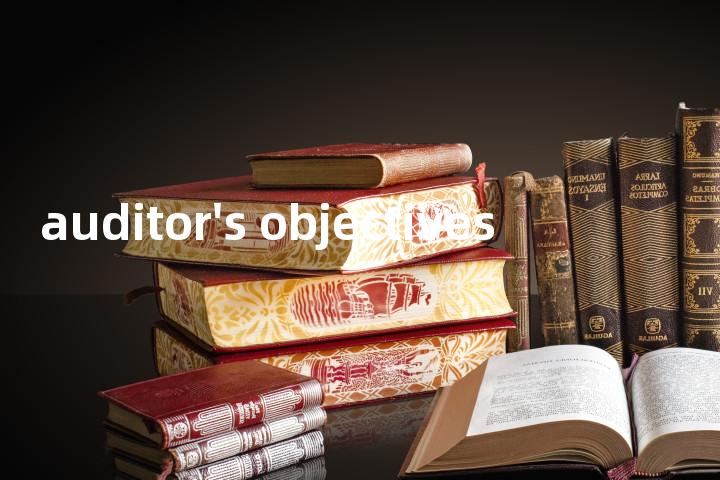 auditor's objectives单词图解，单词释义场景配图