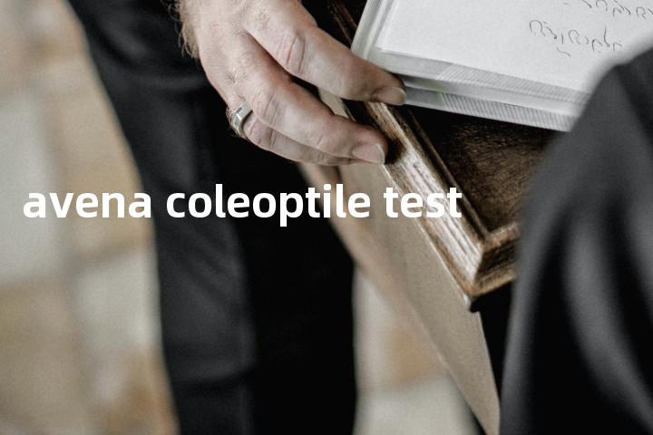 avena coleoptile test单词图解，单词释义场景配图