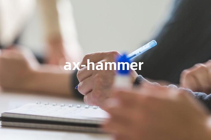ax-hammer单词图解，单词释义场景配图