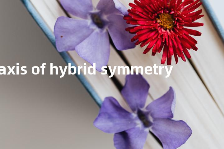axis of hybrid symmetry单词图解，单词释义场景配图