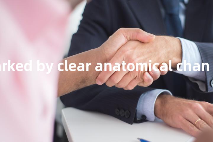 bo be no marked by clear anatomical change单词图解，单词释义场景配图