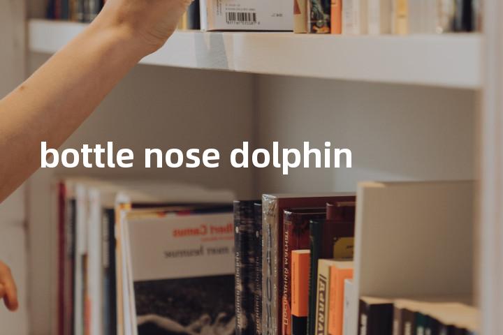 bottle nose dolphin单词图解，单词释义场景配图