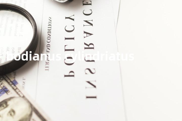 bodianus cylindriatus单词图解，单词释义场景配图