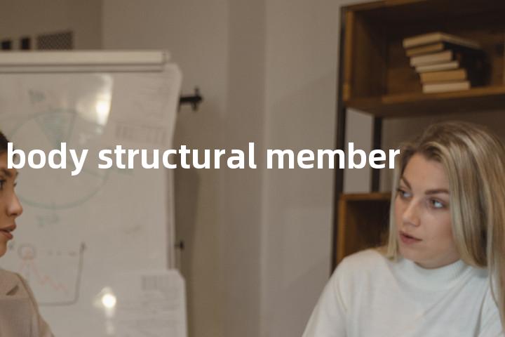 body structural member单词图解，单词释义场景配图
