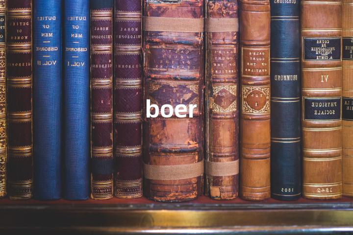 boer单词图解，单词释义场景配图