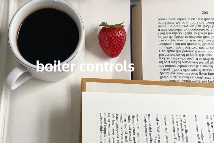 boiler controls单词图解，单词释义场景配图