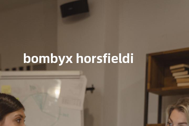 bombyx horsfieldi单词图解，单词释义场景配图