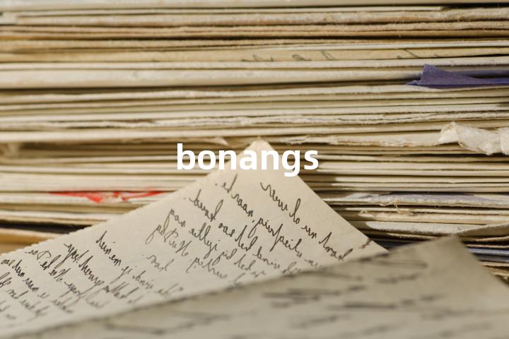 bonangs单词图解，单词释义场景配图