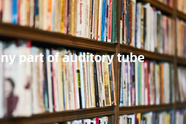 bony part of auditory tube单词图解，单词释义场景配图