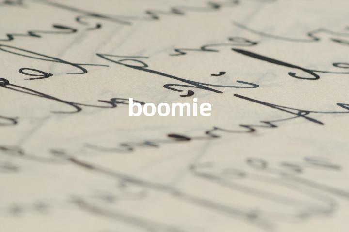 boomie单词图解，单词释义场景配图