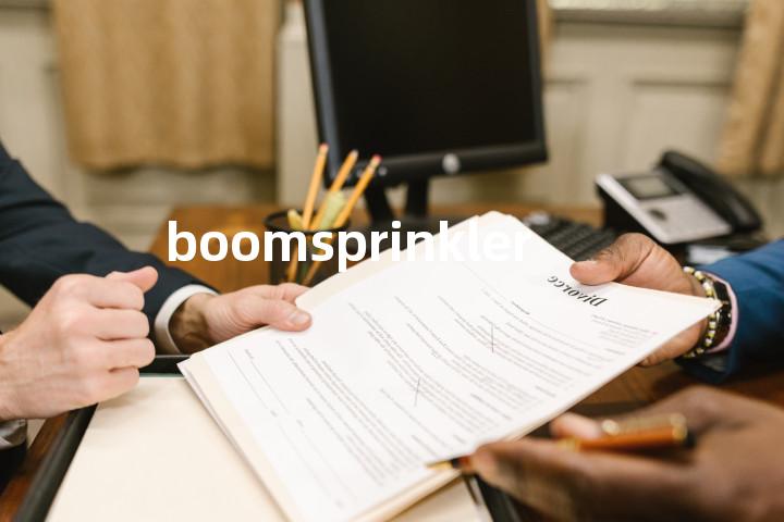 boomsprinkler单词图解，单词释义场景配图