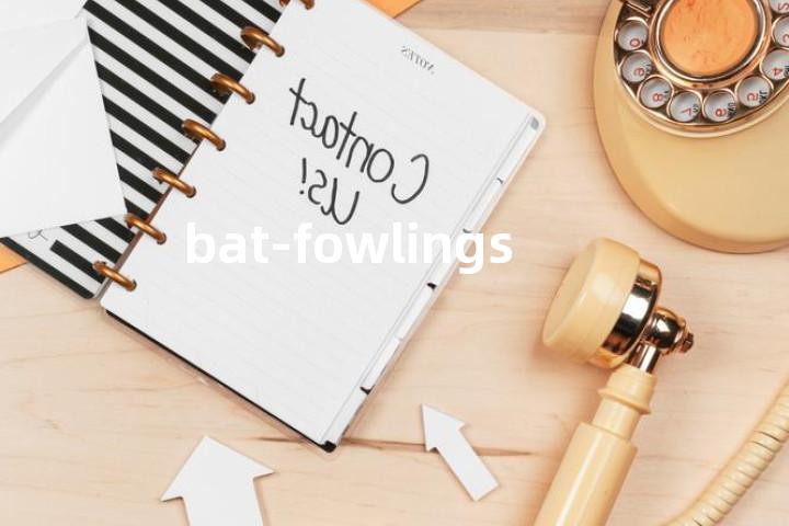 bat-fowlings单词图解，单词释义场景配图
