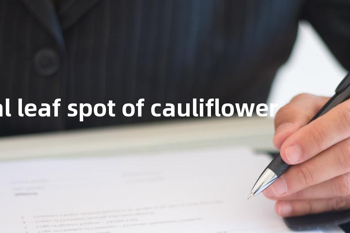 bacterial leaf spot of cauliflower单词图解，单词释义场景配图