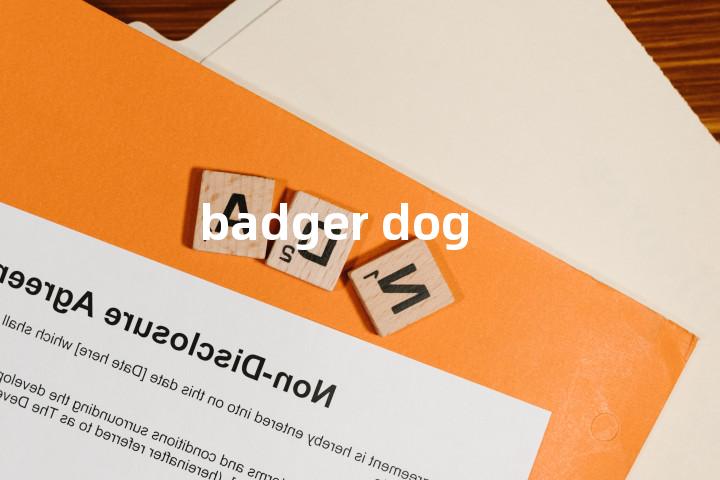 badger dog单词图解，单词释义场景配图