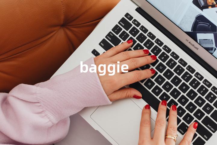 baggie单词图解，单词释义场景配图