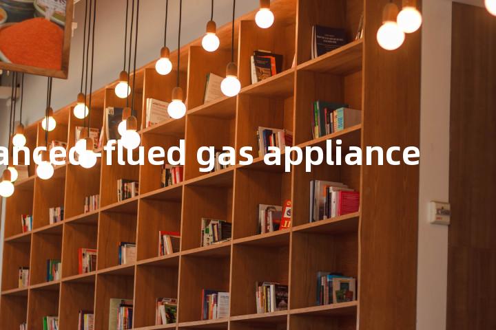 balanced-flued gas appliance单词图解，单词释义场景配图