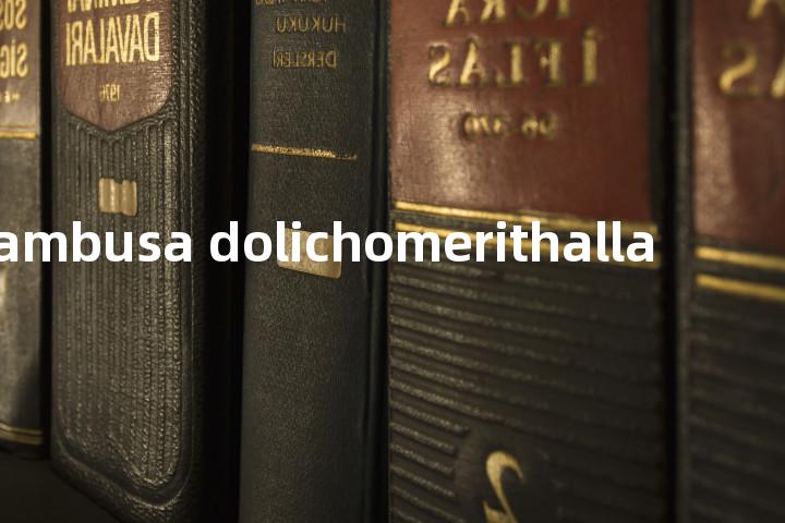 bambusa dolichomerithalla单词图解，单词释义场景配图
