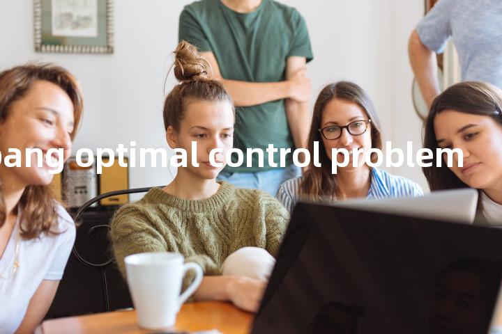 bang-bang optimal control problem单词图解，单词释义场景配图