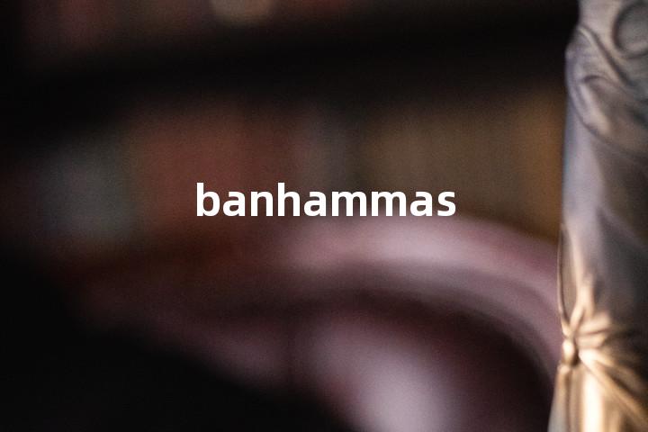 banhammas单词图解，单词释义场景配图