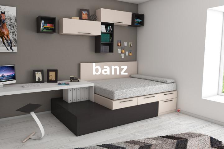 banz单词图解，单词释义场景配图