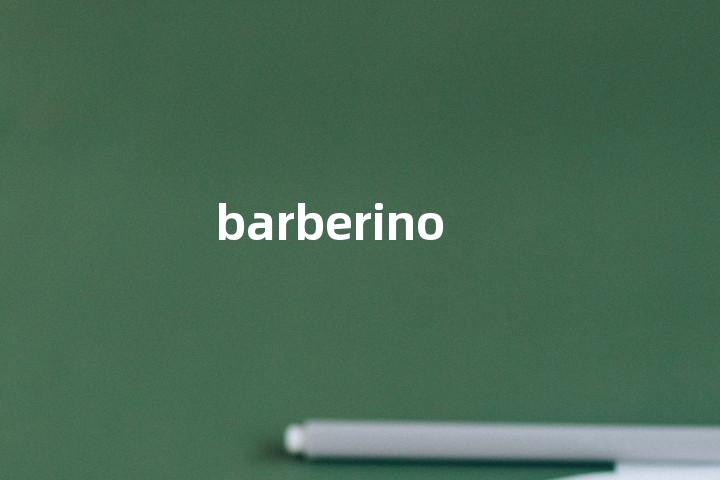 barberino单词图解，单词释义场景配图