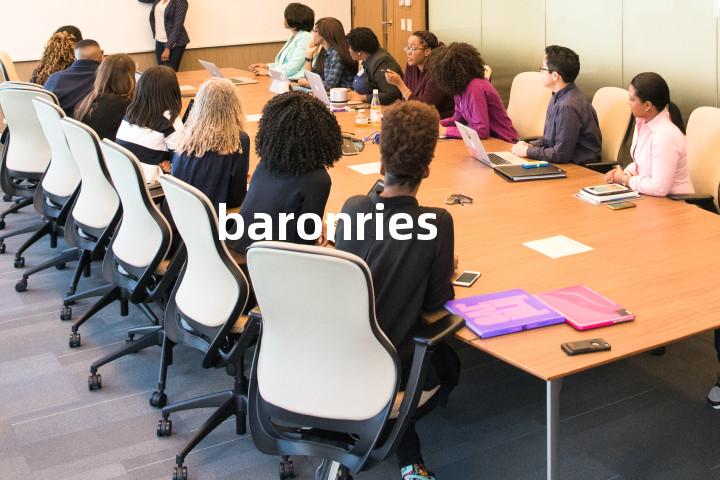 baronries单词图解，单词释义场景配图
