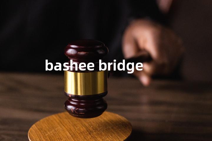 bashee bridge单词图解，单词释义场景配图