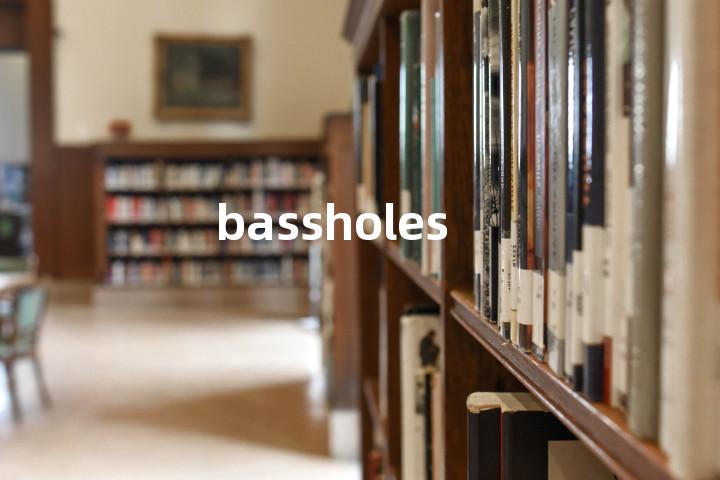bassholes单词图解，单词释义场景配图