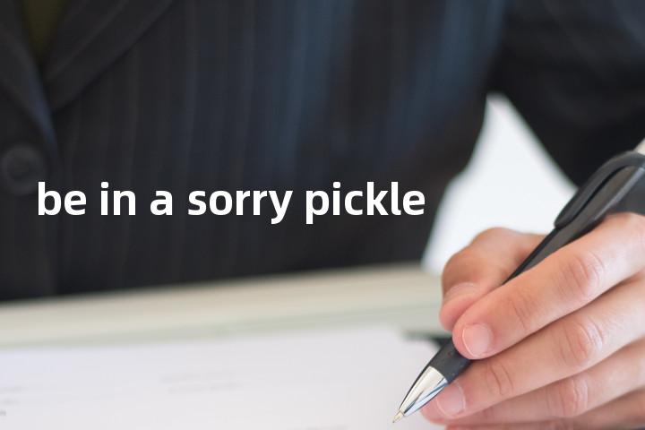 be in a sorry pickle单词图解，单词释义场景配图