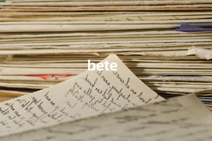 bete单词图解，单词释义场景配图