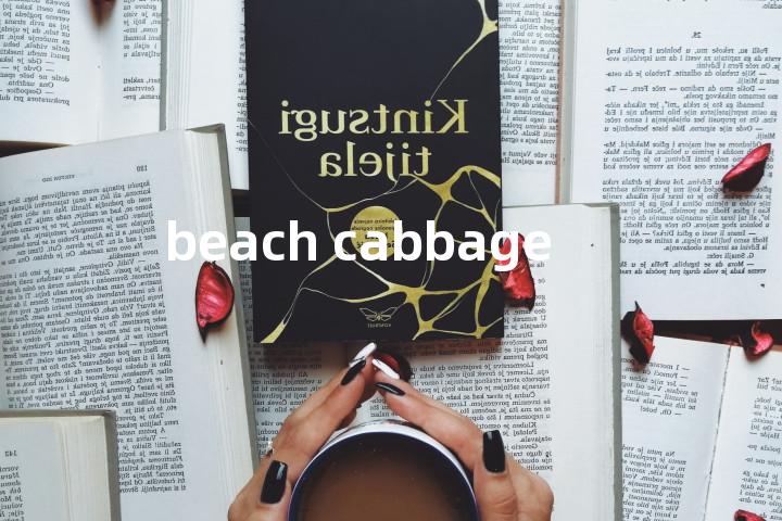 beach cabbage单词图解，单词释义场景配图